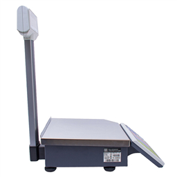 весы с печатью ШТРИХ-ПРИНТ М 15-2.5