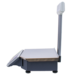 весы с печатью ШТРИХ-ПРИНТ М 15-2.5